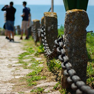 The Importance of Learning About Nature: Connecting to Our Roots